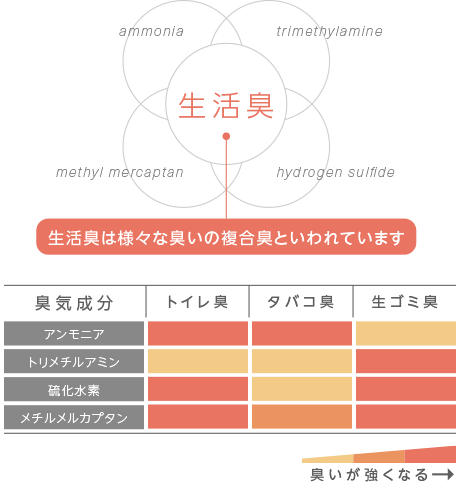 生活臭の成分と発生源